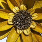 8064753621_b55aa908d7_b