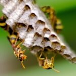 WhatsApp Image 2025-11-20 at 14.52.03