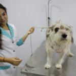 54105382393_5e6c254384_k