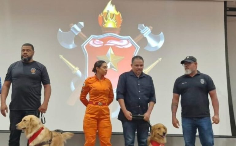 WhatsApp-Image-2025-12-17-at-18.25.57-620x620